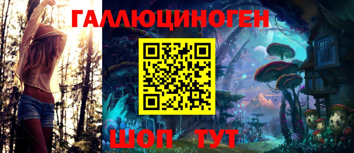 Псилоцибиновые грибы Psilocybe Кольчугино